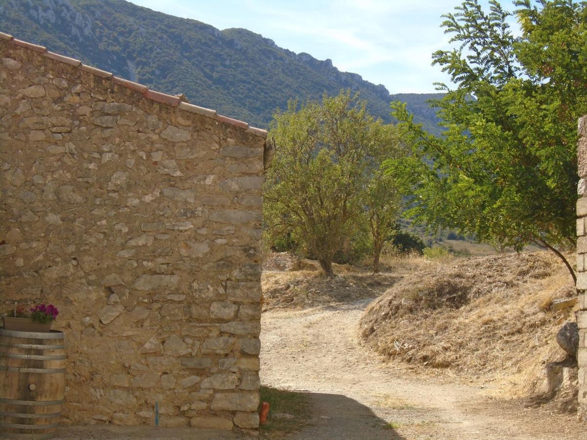 Chambre D'Hote Cucugnan Kültér fotó